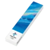 Chinese Winter Scenery